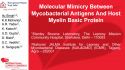 Mimicità Molecolare tra gli antigeni del Mycobacterium e la Proteina basica della Mielina