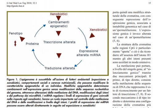 Epigenetica ed esposizione ambientale a xenobiotici