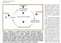 Epigenetica ed esposizione ambientale a xenobiotici