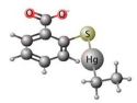 Neurotossicità del Thimerosal