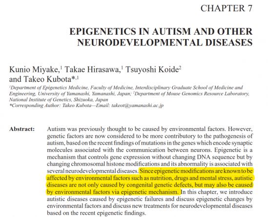 Epigenetica ed Autismo: modificazione dell&#039;espressione genica senza alterazione del DNA