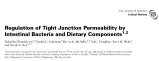 Permeabilità intestinale - tight junction - influenza di batteri e alimenti