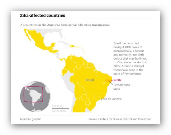 ZIKA VIRUS: un prestanome per coprire altre cause della microcefalia dei bambini brasiliani?