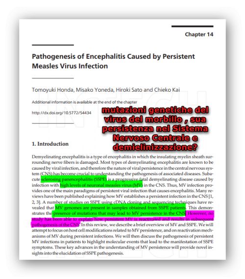 Virus del Morbillo ed Anticorpi contro la proteina basica della mielina ( MBP )