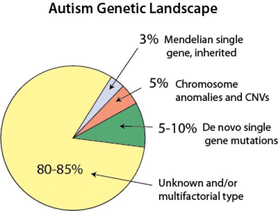 Ipotesi genetica dell&#039;autismo